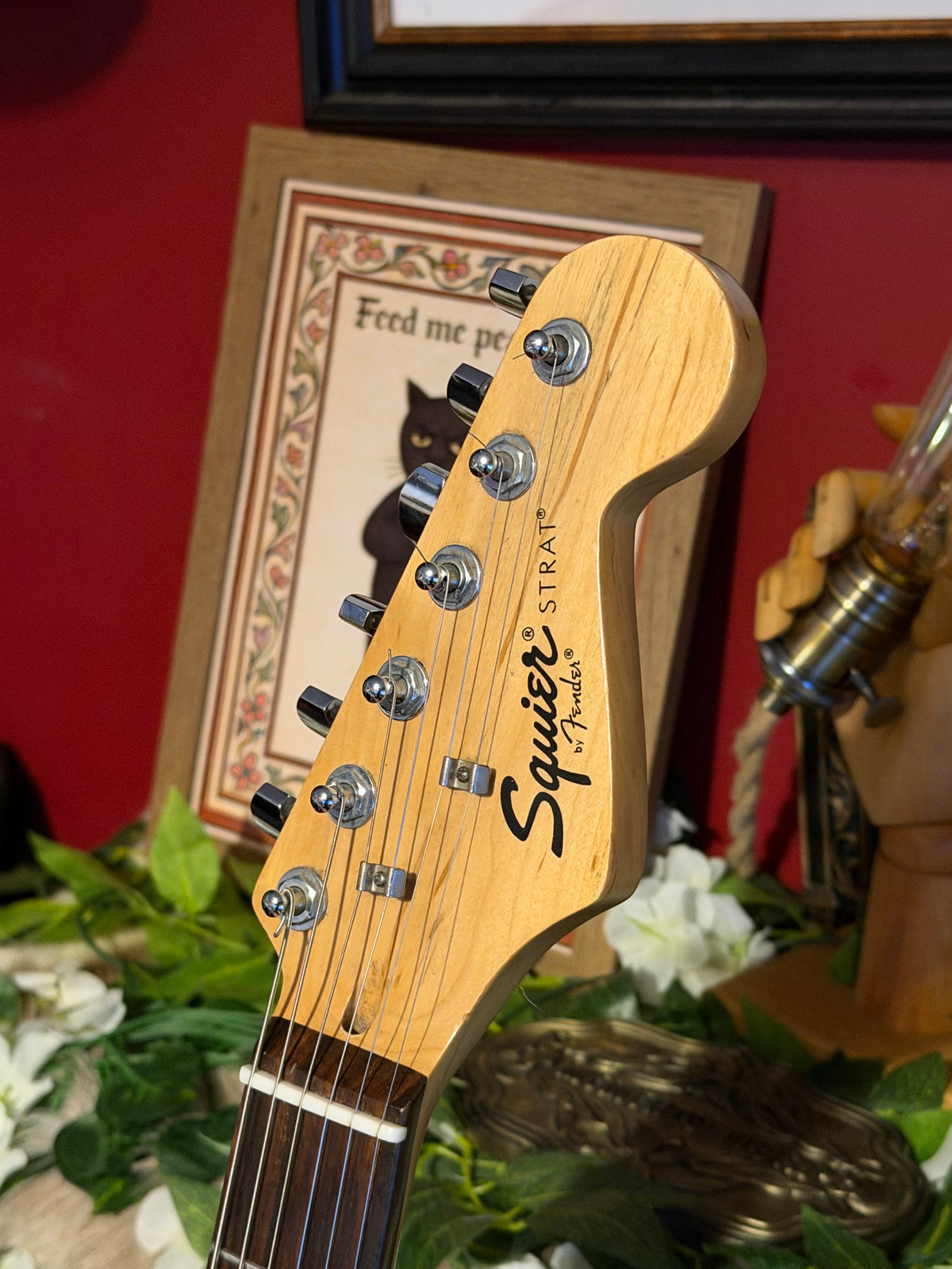 Penny! - Squier Standard Stratocaster | Three-Colour Sunburst
