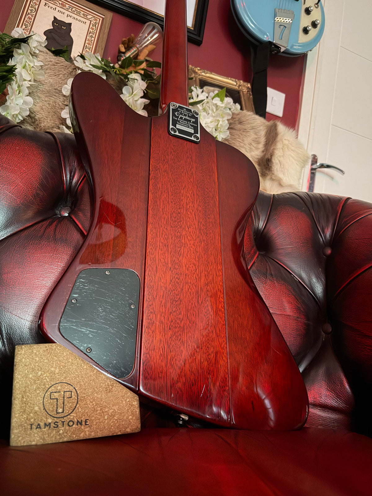 Garnet! – Epiphone Thunderbird IV – 2001 Korean Made – Transparent Red