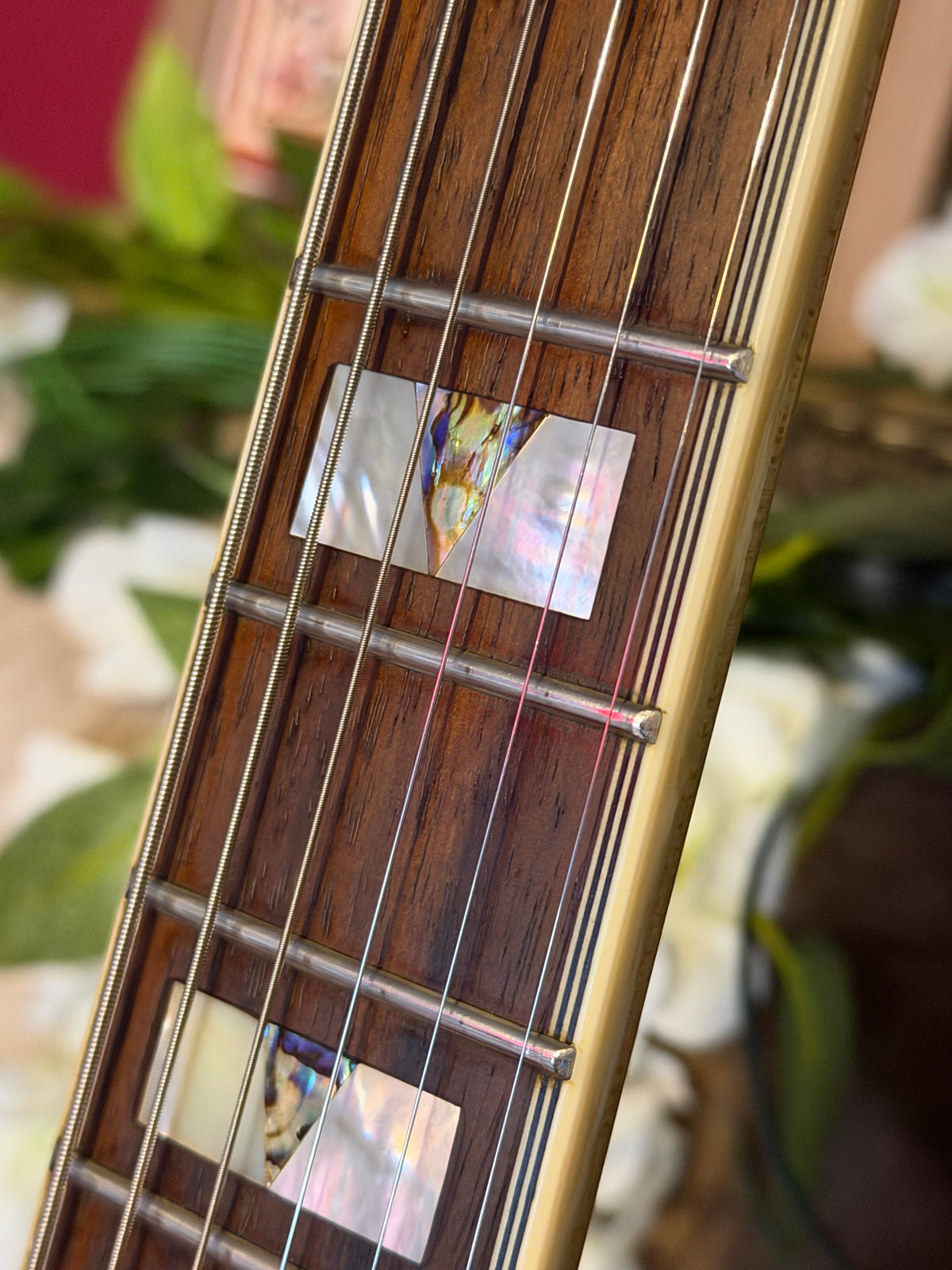 Ophelia! - Epiphone Sheraton II | 2010 | Natural