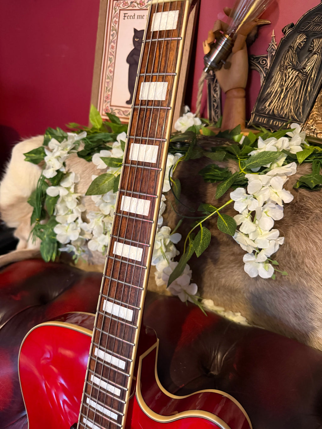 Roxanne! - Ibanez AFS75T Artcore | Transparent Red