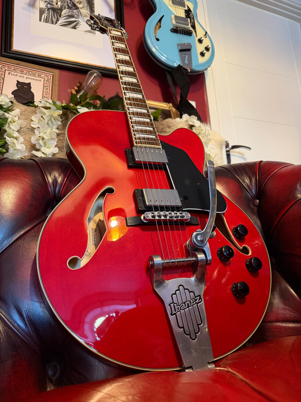 Roxanne! - Ibanez AFS75T Artcore | Transparent Red