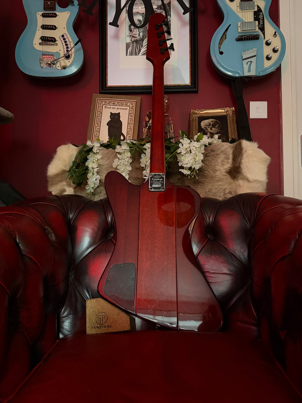 Garnet! – Epiphone Thunderbird IV – 2001 Korean Made – Transparent Red