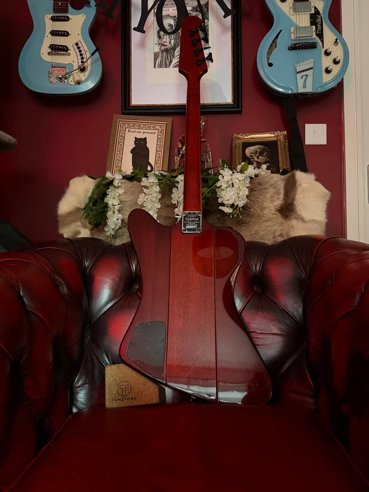 Garnet! – Epiphone Thunderbird IV – 2001 Korean Made – Transparent Red