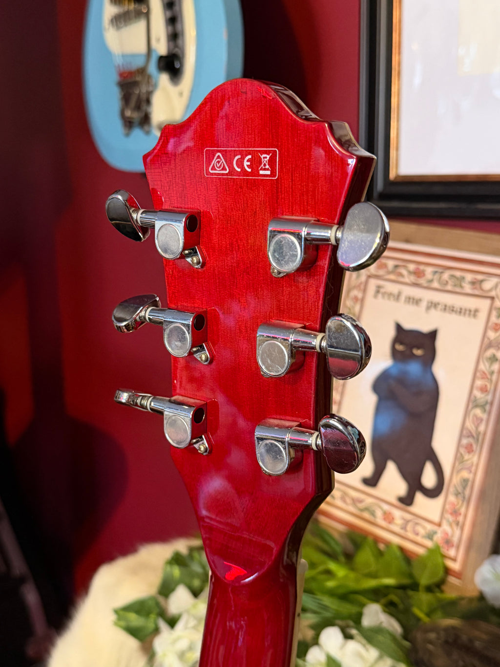 Roxanne! - Ibanez AFS75T Artcore | Transparent Red