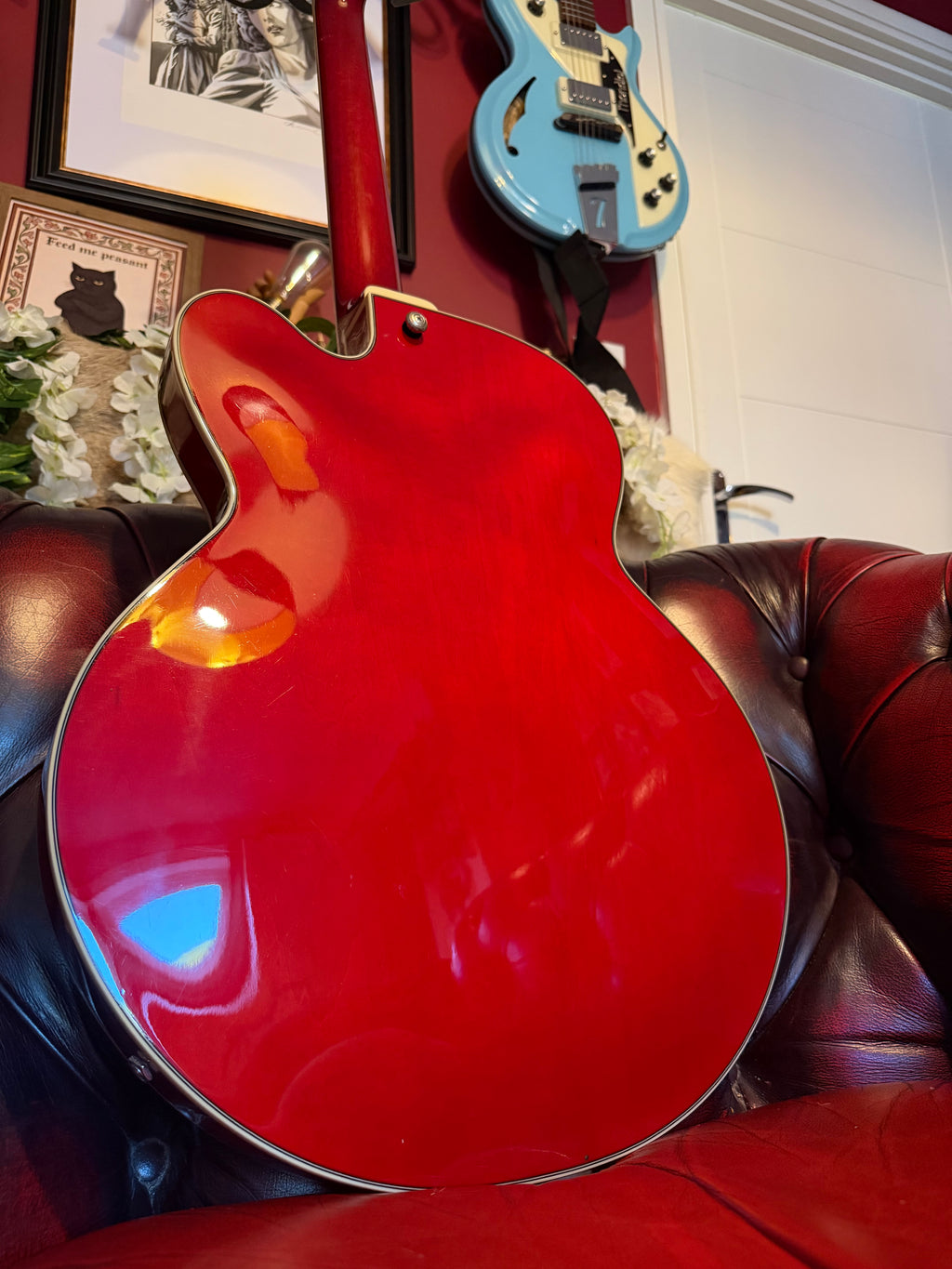 Roxanne! - Ibanez AFS75T Artcore | Transparent Red