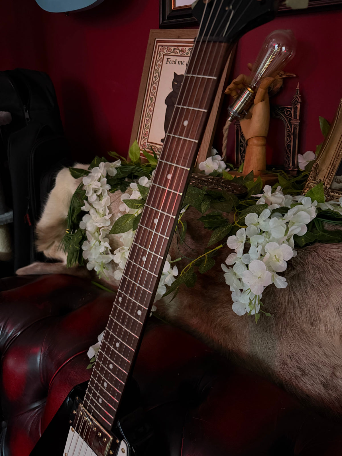 Bugsy! – 2012 Vintage V60 Flying V – Gloss Black