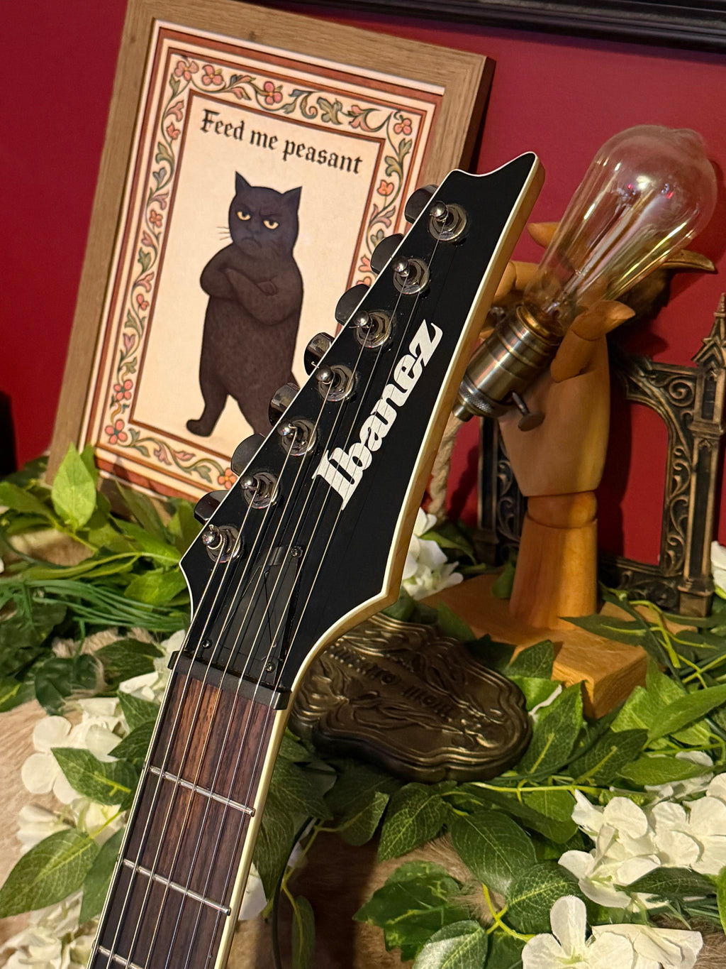 Hecate! - Ibanez RGIR27FE Iron Label 7-String, 2014, Black