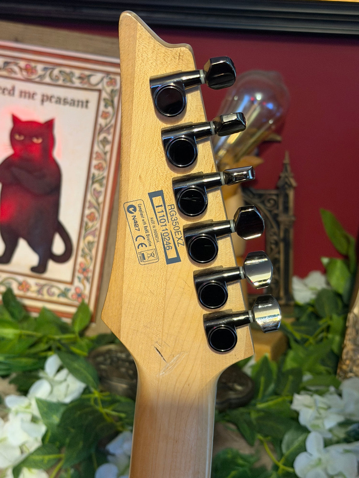 Lazarus! - Ibanez RG350EXZ | Black | Modified HH Configuration