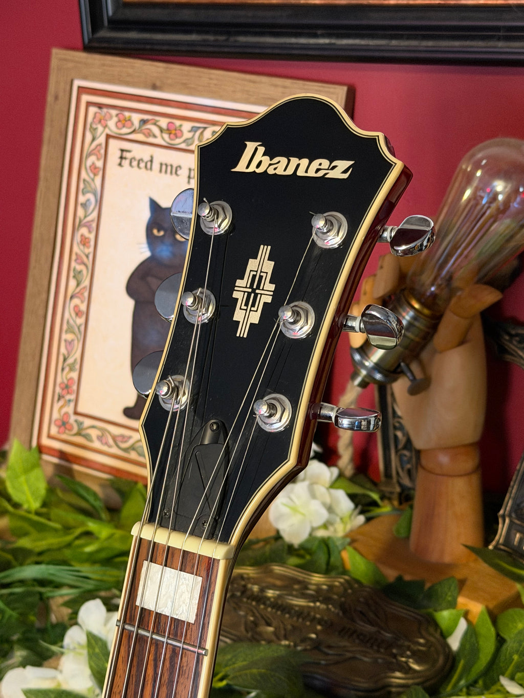 Roxanne! - Ibanez AFS75T Artcore | Transparent Red