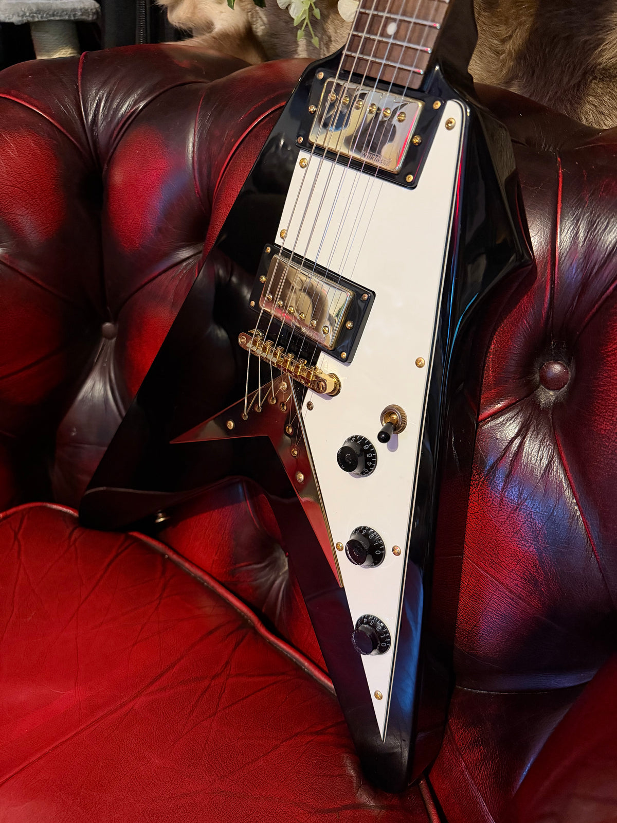 Bugsy! – 2012 Vintage V60 Flying V – Gloss Black