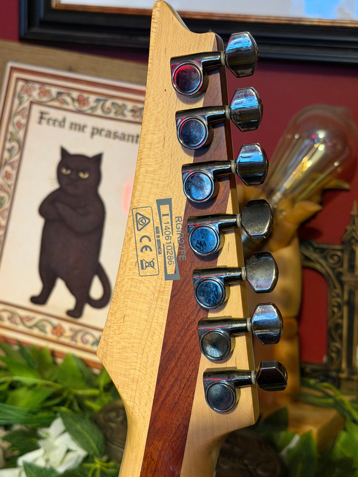 Hecate! - Ibanez RGIR27FE Iron Label 7-String, 2014, Black