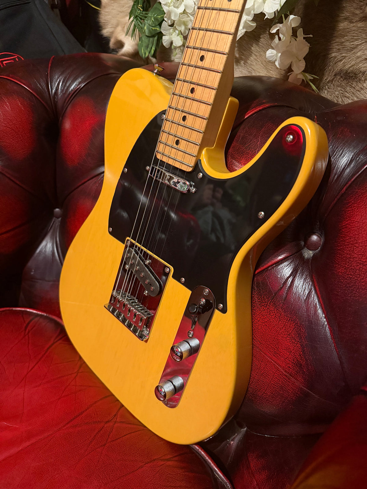 Clementine! - Squier Affinity Telecaster | 2012 | Butterscotch Blonde