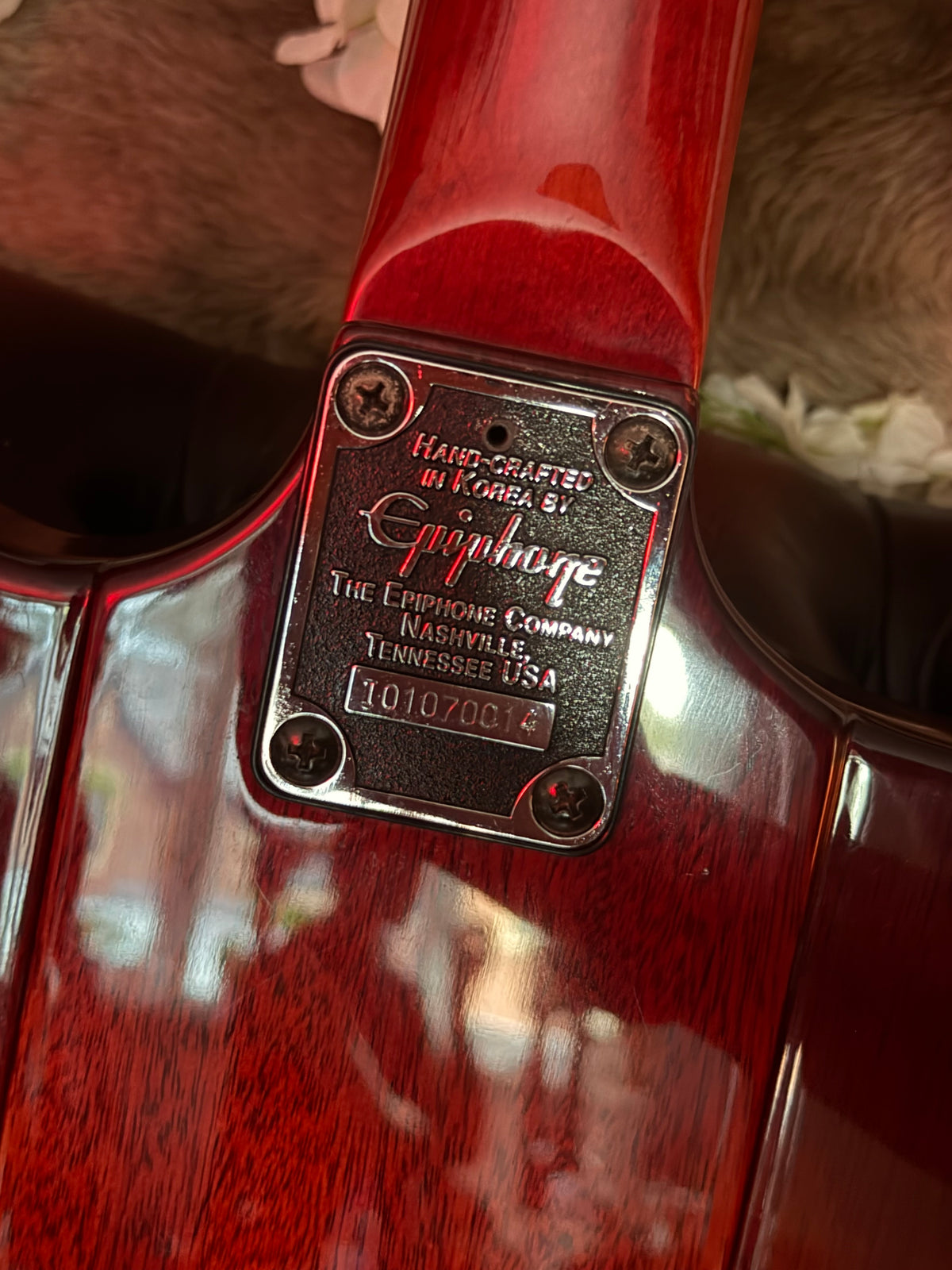 Garnet! – Epiphone Thunderbird IV – 2001 Korean Made – Transparent Red