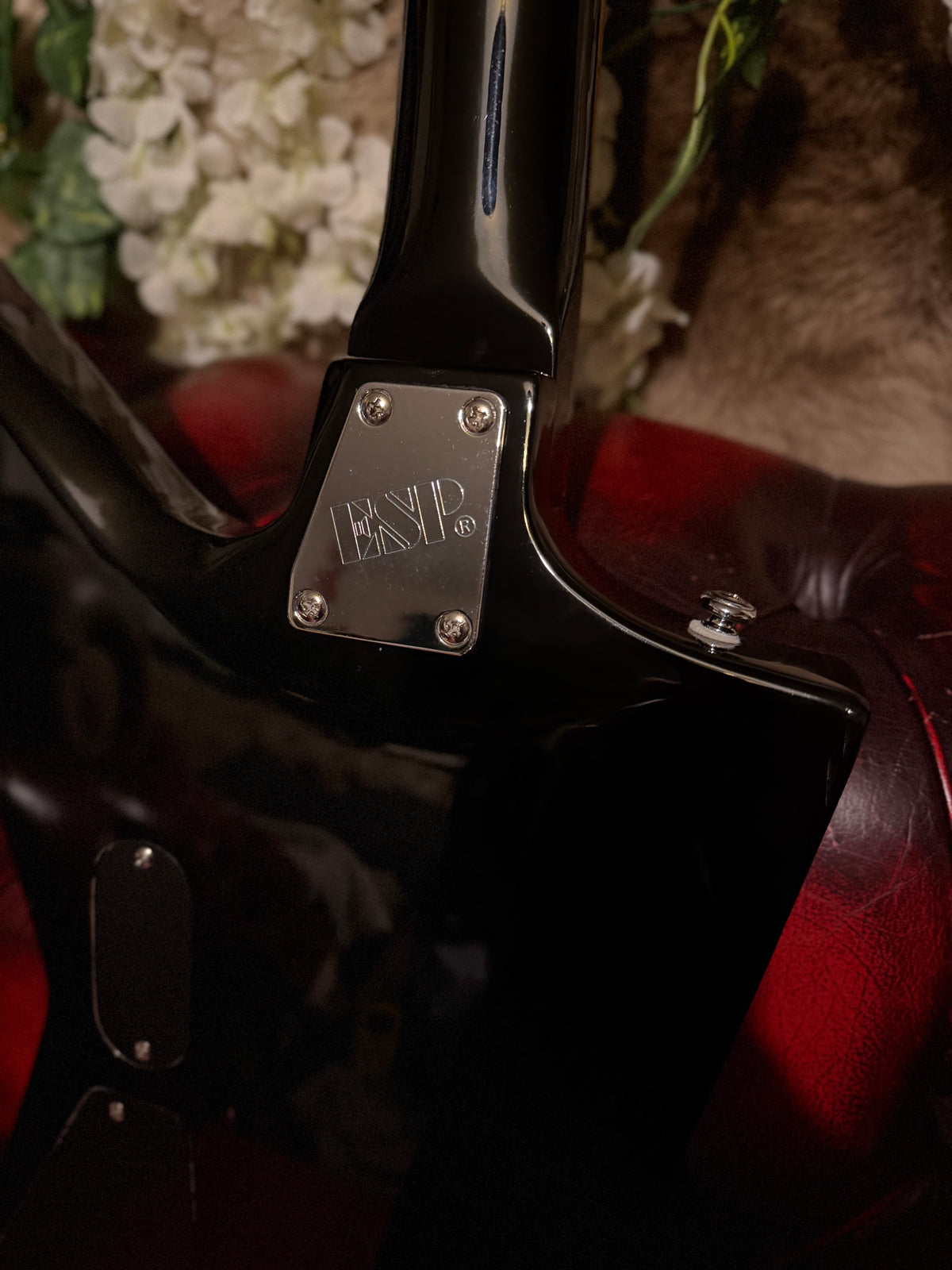 Ragnar! - ESP LTD EX-104 | Gloss Black | Active Electronics