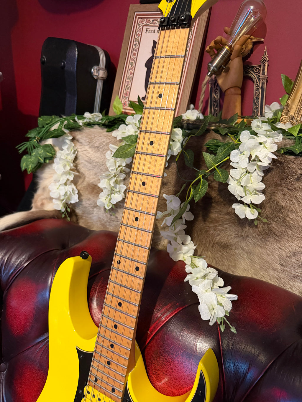 Beatrix! - Ibanez RG350M-YE | 2010 | Yellow | Upgraded HSH