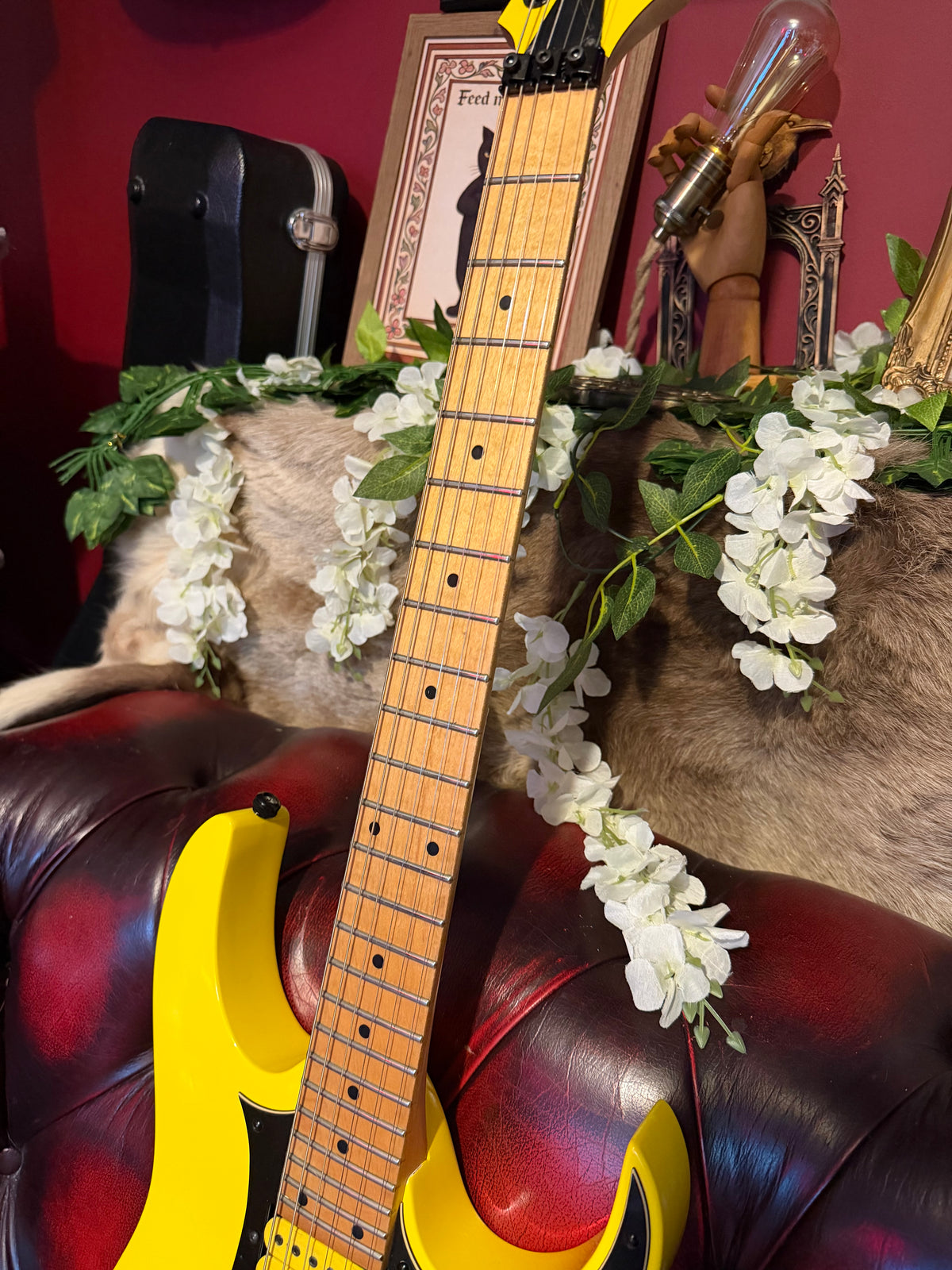 Beatrix! - Ibanez RG350M-YE | 2010 | Yellow | Upgraded HSH