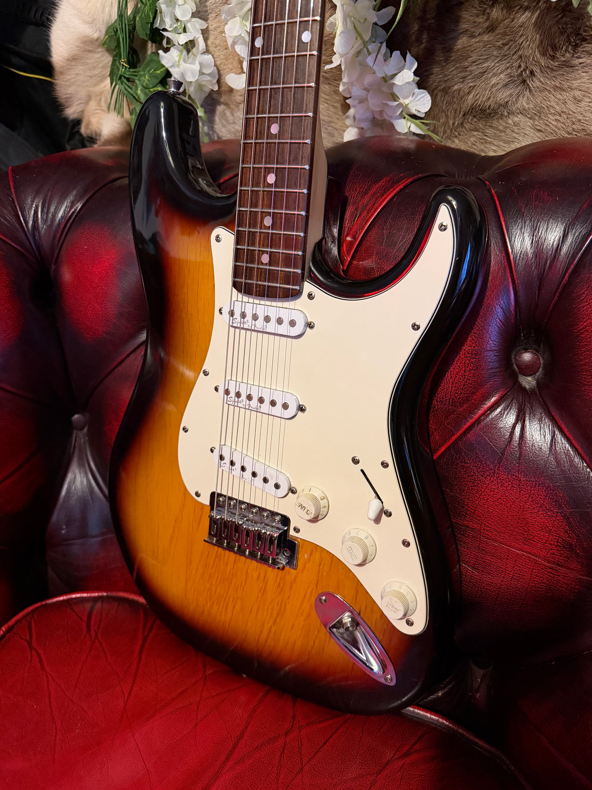 Penny! - Squier Standard Stratocaster | Three-Colour Sunburst