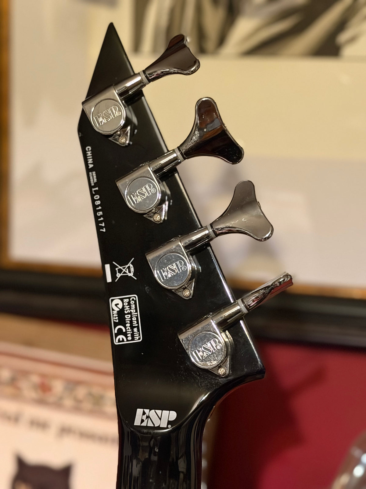 Ragnar! - ESP LTD EX-104 | Gloss Black | Active Electronics