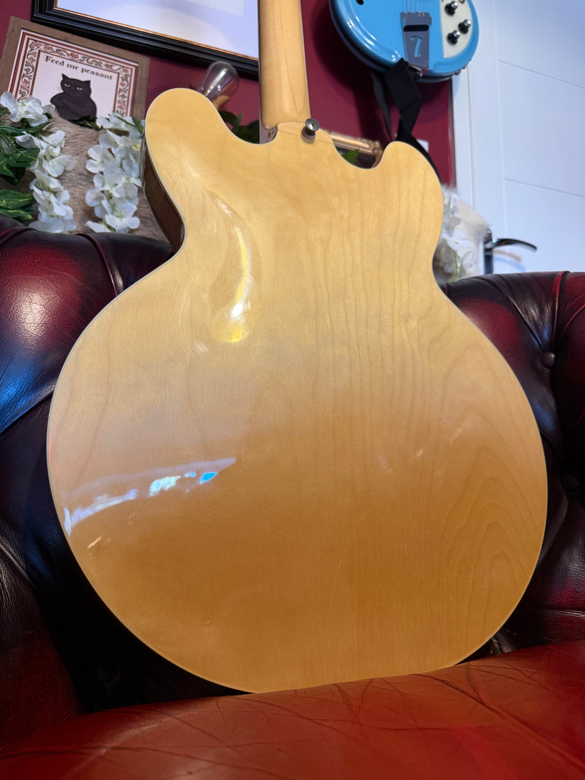 Ophelia! - Epiphone Sheraton II | 2010 | Natural