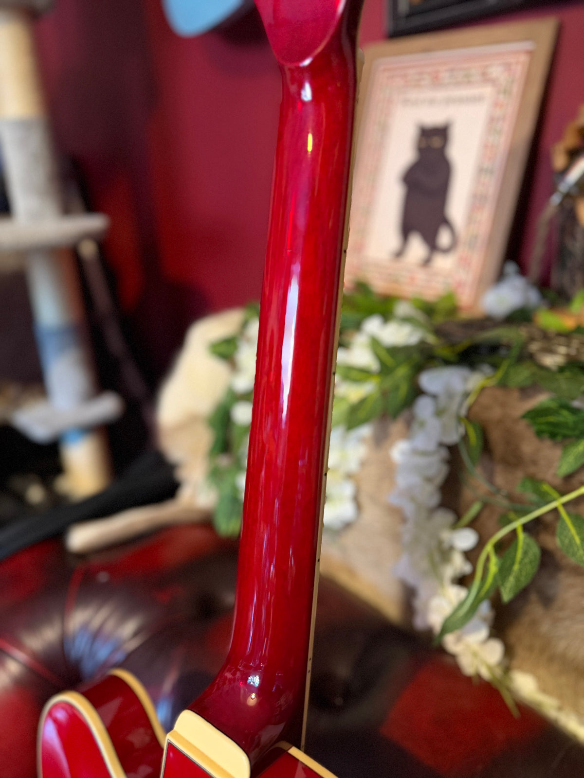 Roxanne! - Ibanez AFS75T Artcore | Transparent Red