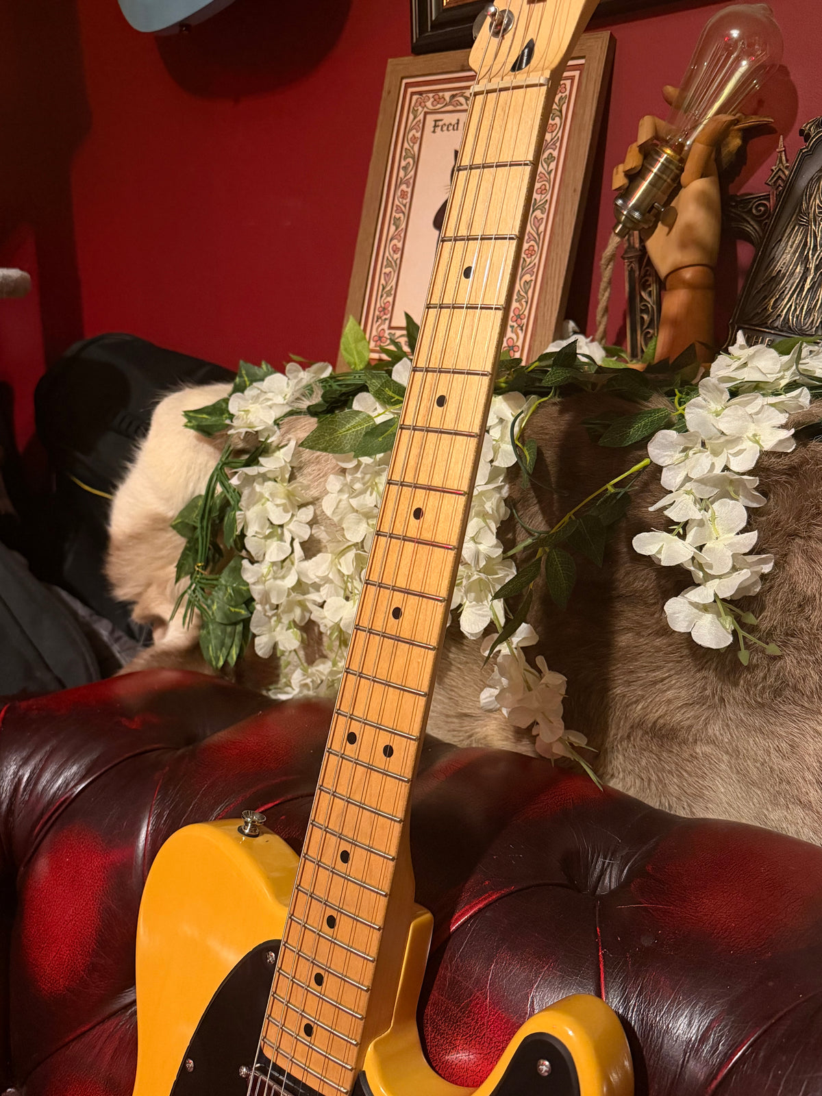 Clementine! - Squier Affinity Telecaster | 2012 | Butterscotch Blonde