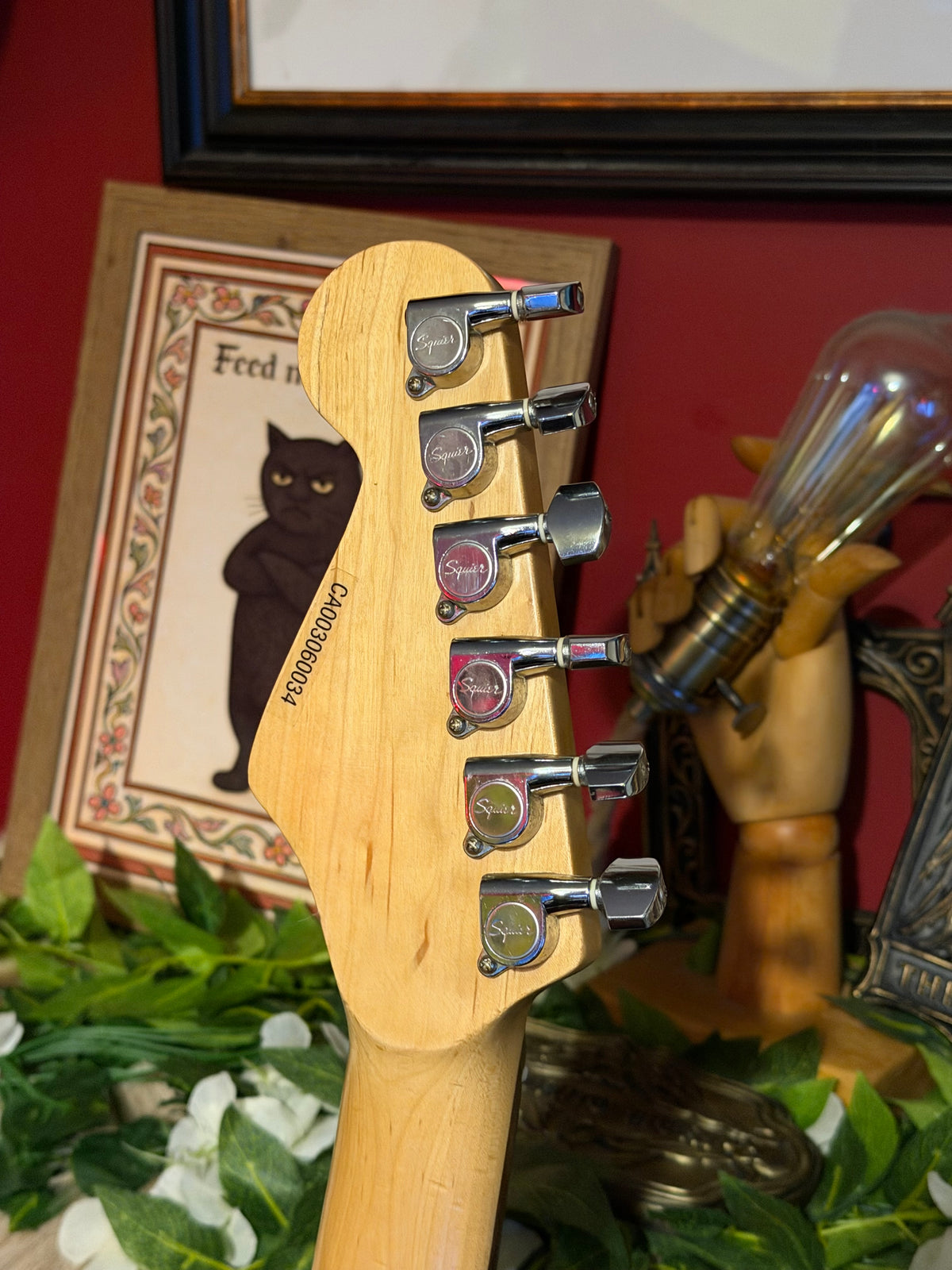Penny! - Squier Standard Stratocaster | Three-Colour Sunburst