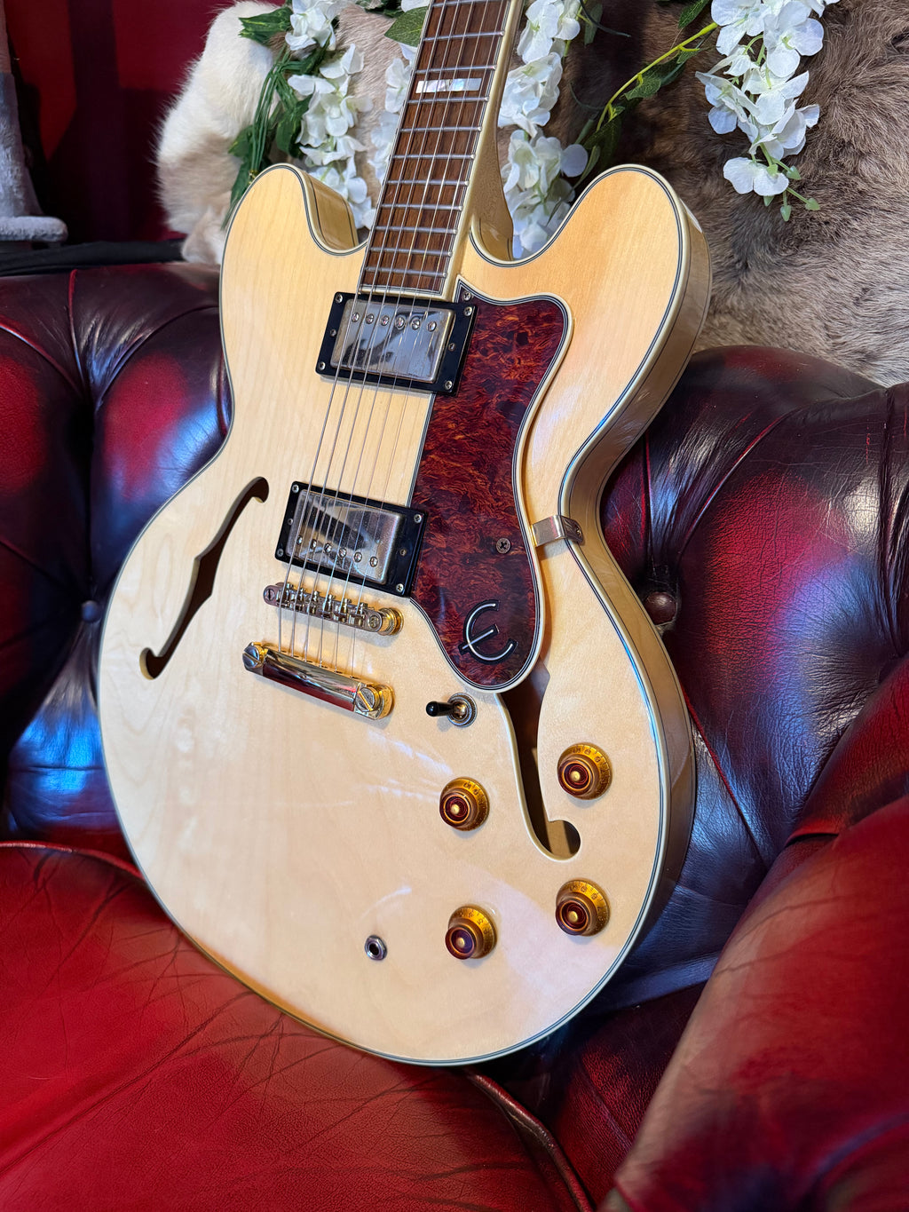Ophelia! - Epiphone Sheraton II | 2010 | Natural