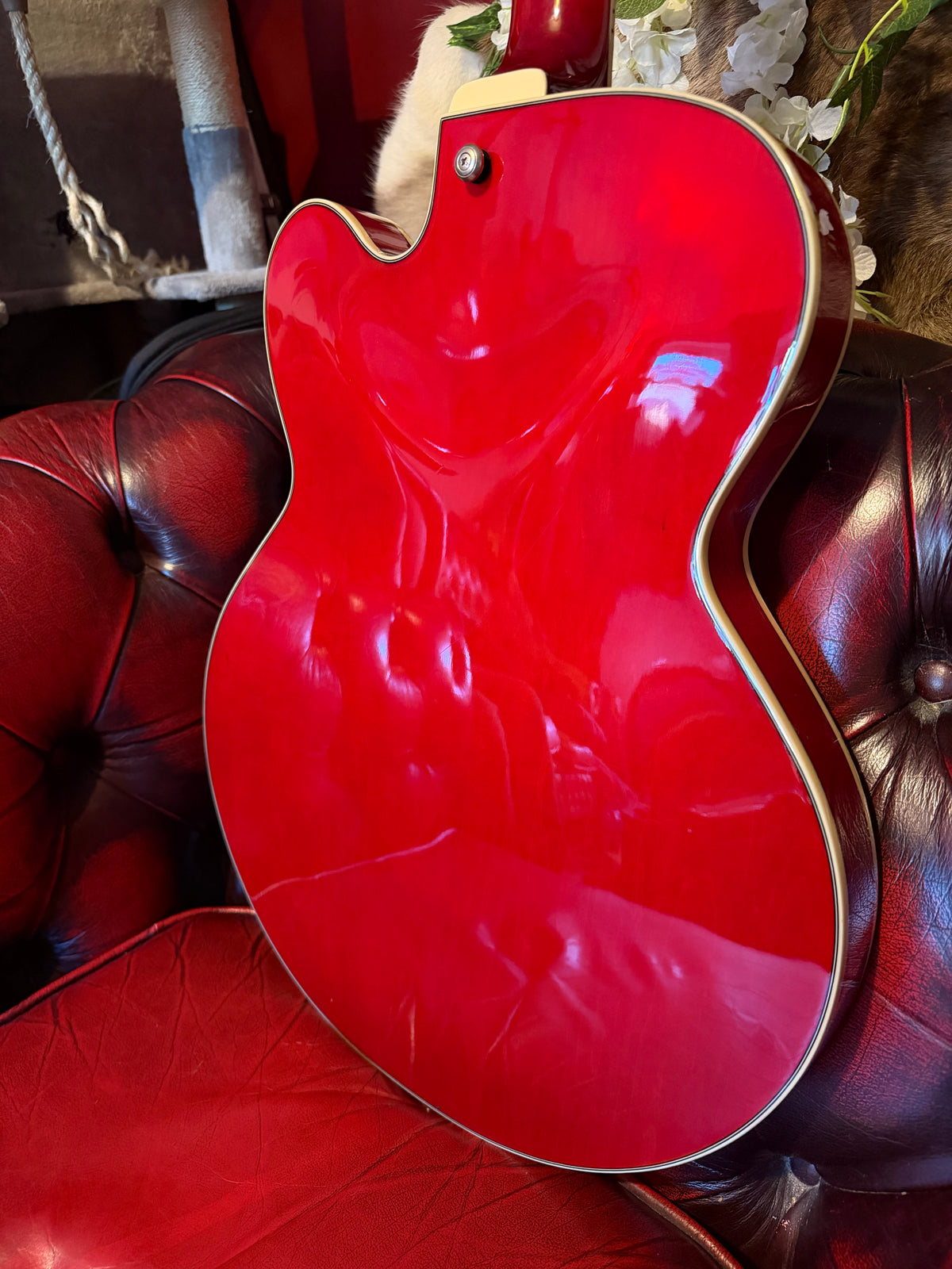 Roxanne! - Ibanez AFS75T Artcore | Transparent Red