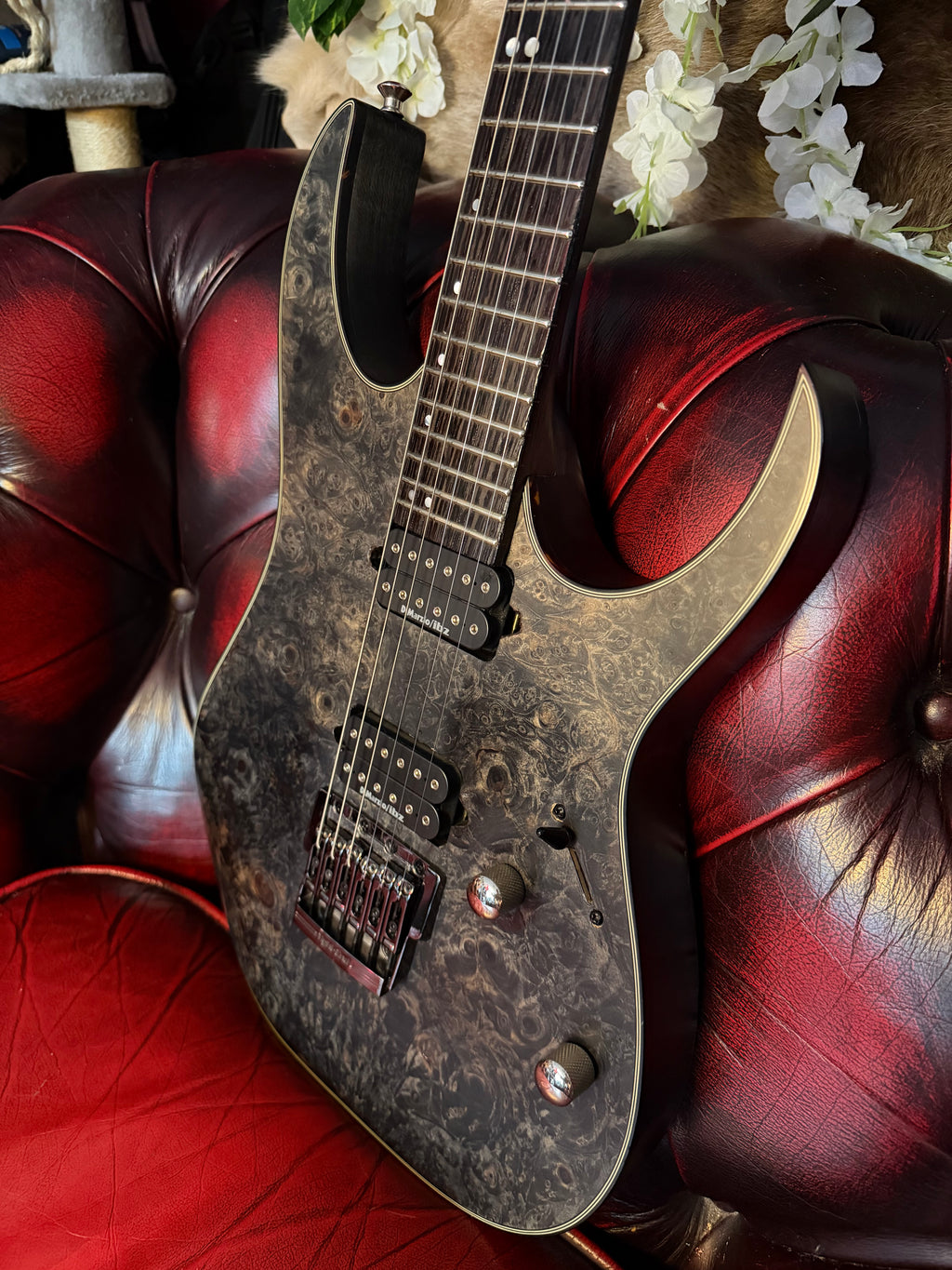 Nyx! - Ibanez RG921WBB Premium | Transparent Grey Flat | Buckeye Burl