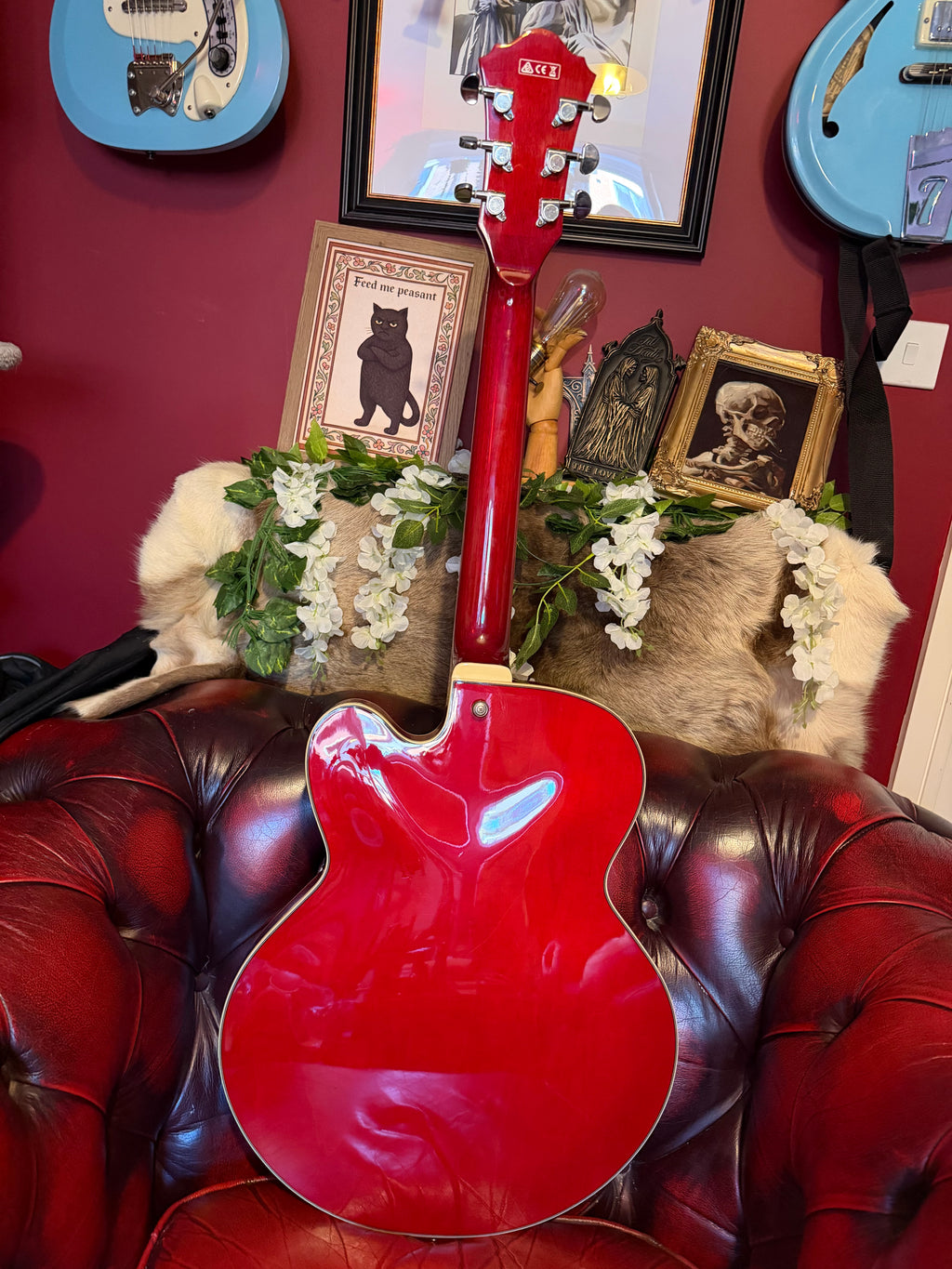 Roxanne! - Ibanez AFS75T Artcore | Transparent Red