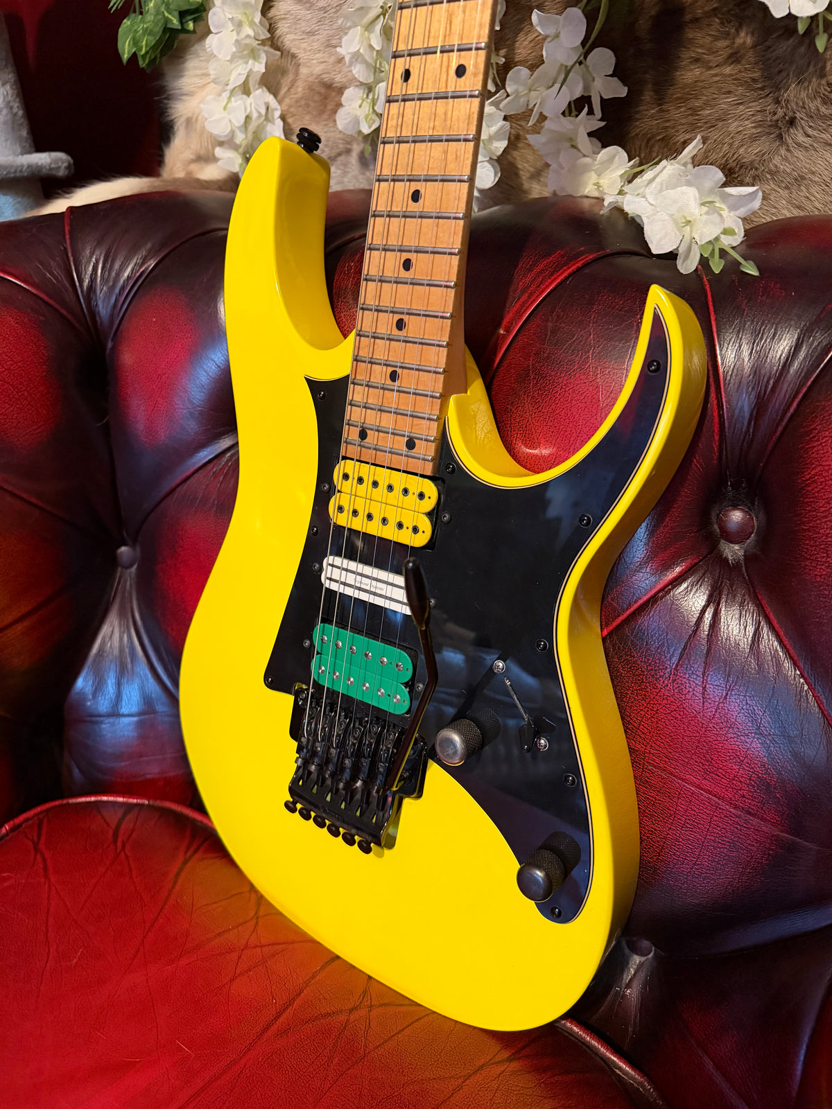 Beatrix! - Ibanez RG350M-YE | 2010 | Yellow | Upgraded HSH
