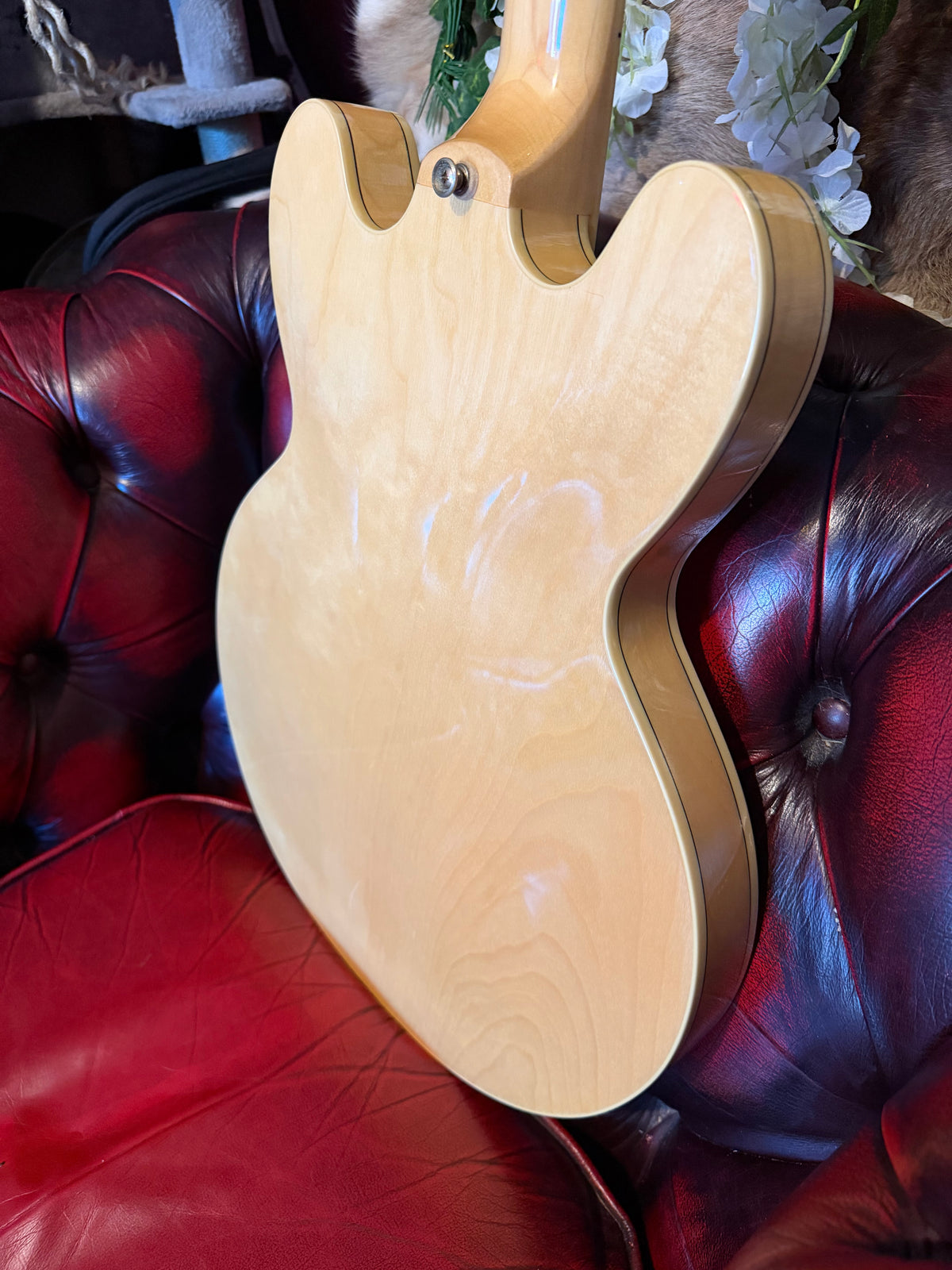 Ophelia! - Epiphone Sheraton II | 2010 | Natural