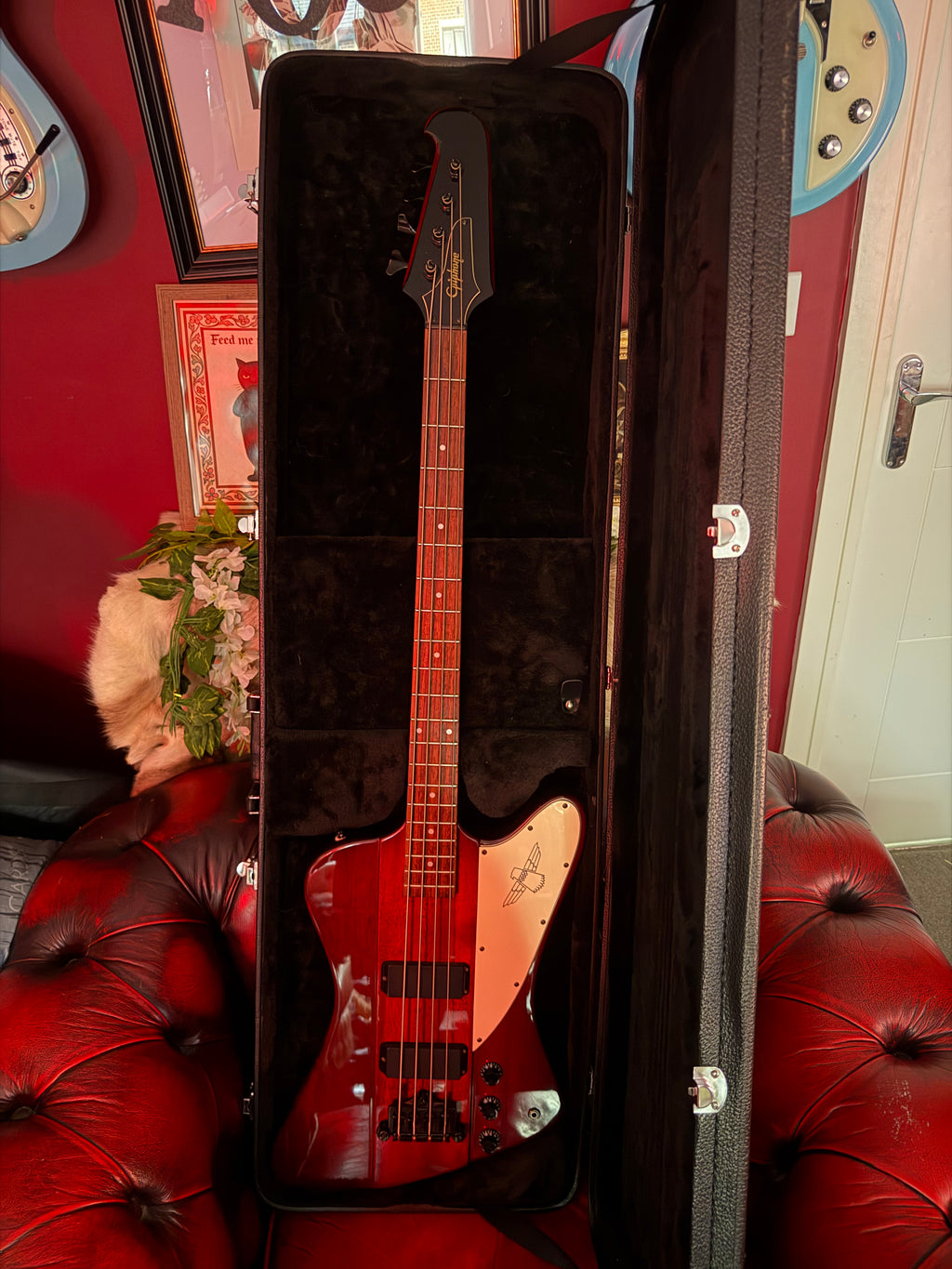 Garnet! – Epiphone Thunderbird IV – 2001 Korean Made – Transparent Red
