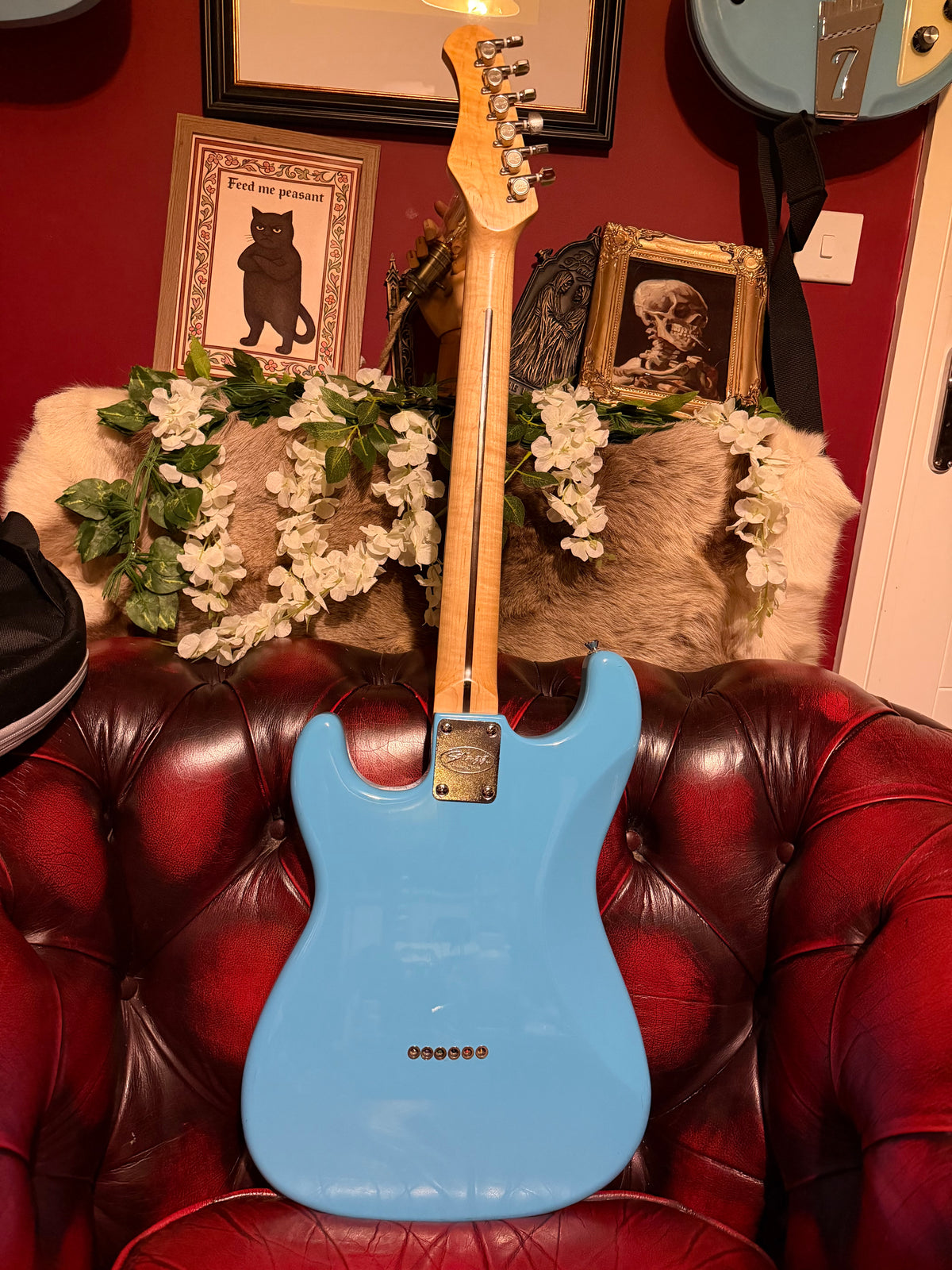 Josie! - Stagg Tom DeLonge-Inspired Strat-Style Electric Guitar | Blue