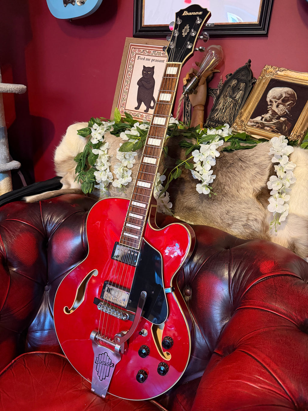 Roxanne! - Ibanez AFS75T Artcore | Transparent Red