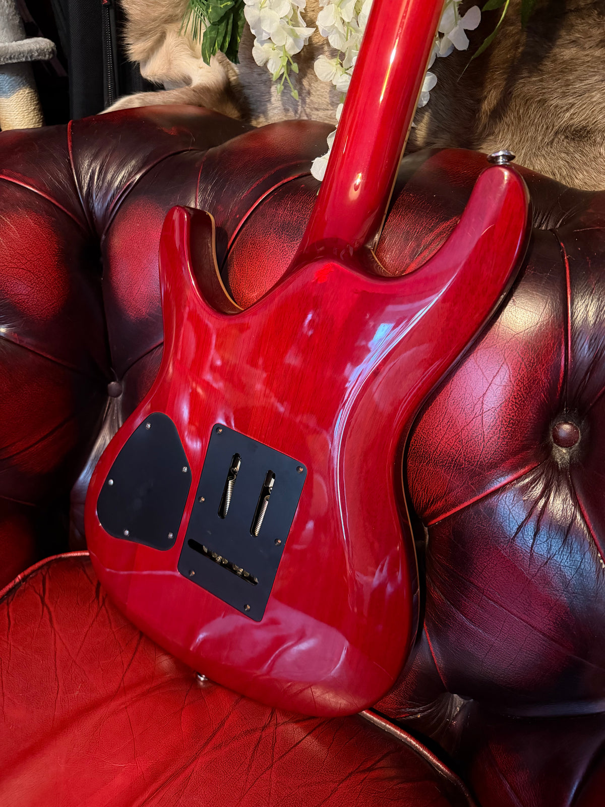 Rebel! – 2006 Ibanez SAS36FM – Korean – Upgraded Rail Humbuckers