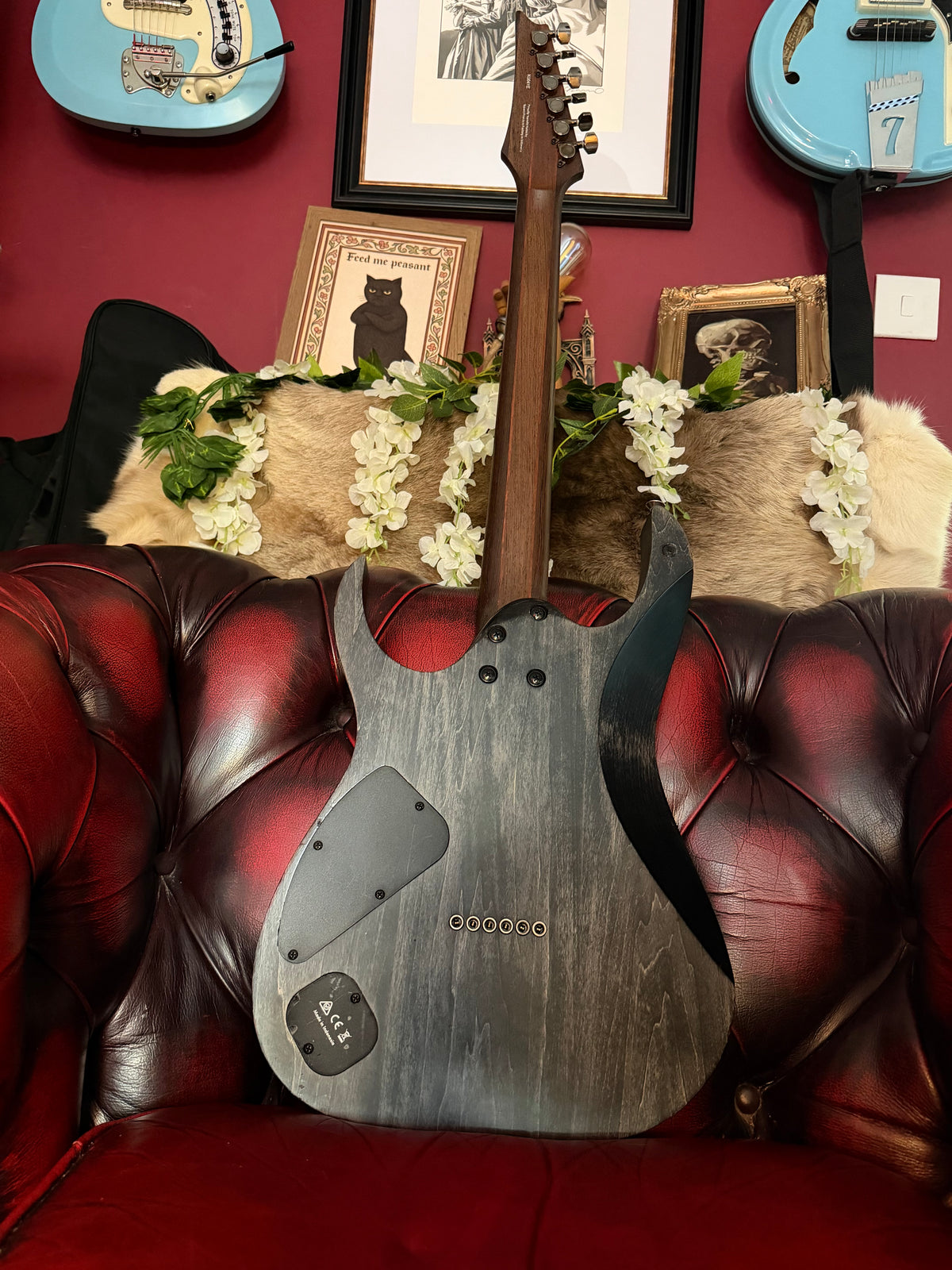 Nyx! - Ibanez RG921WBB Premium | Transparent Grey Flat | Buckeye Burl