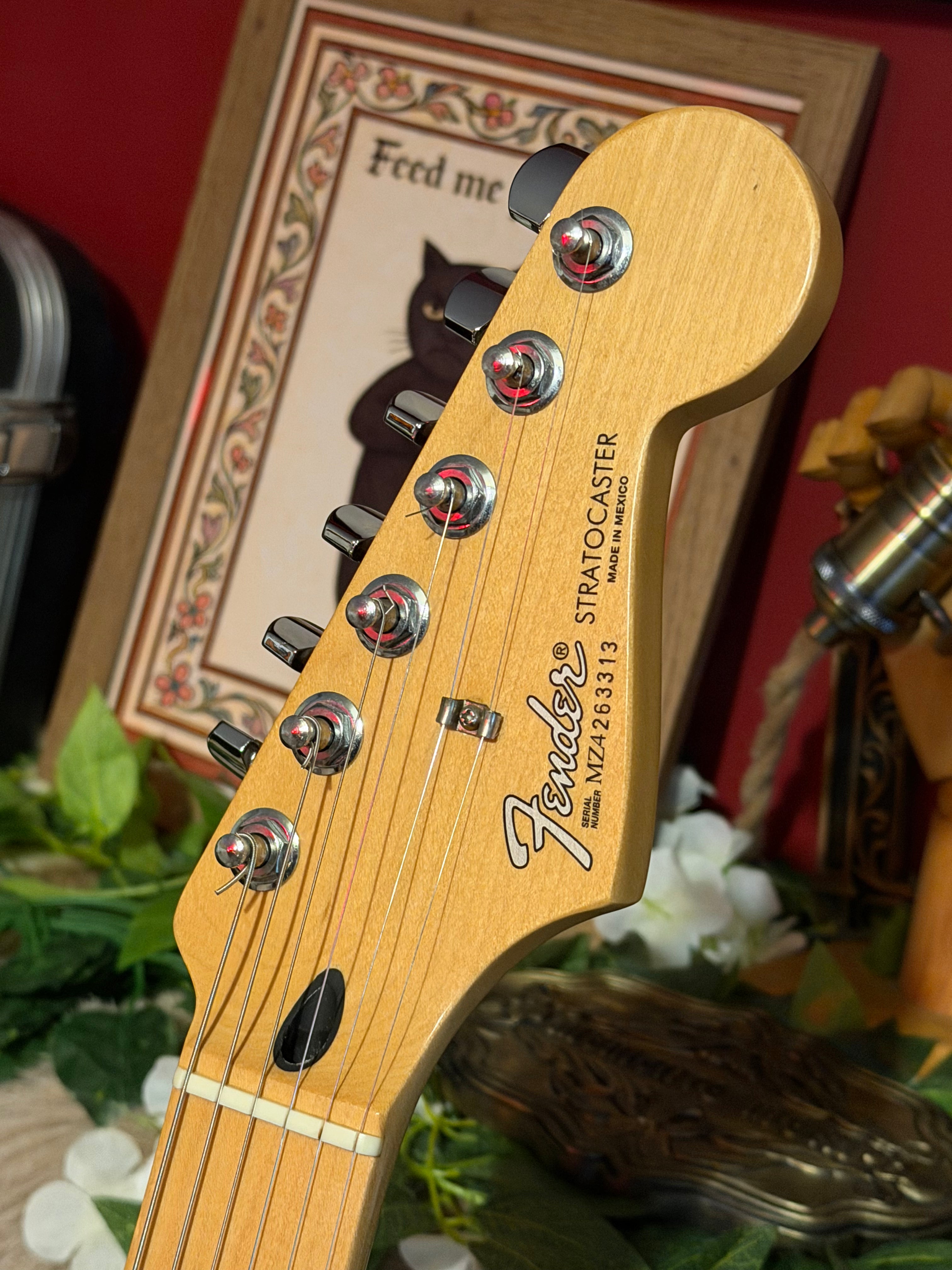 Pearl! – Fender Standard Stratocaster 2004, Arctic White
