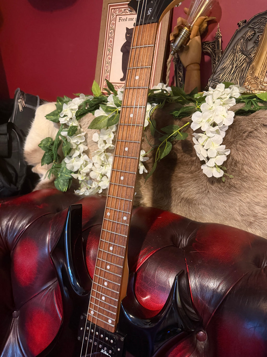 Morticia! - B.C. Rich Virgin VG1 – Gloss Black