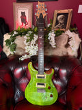 Polly! - PRS SE Custom 24-08 in Eriza Verde