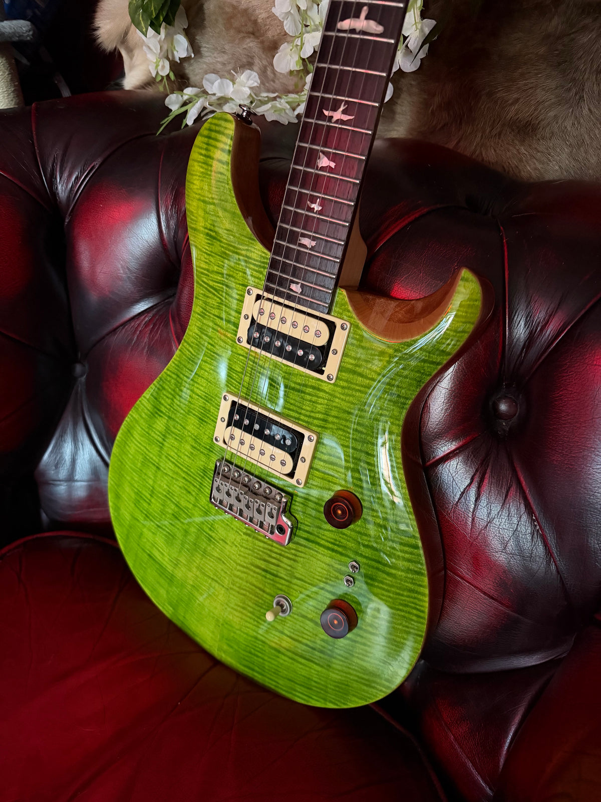 Polly! - PRS SE Custom 24-08 in Eriza Verde