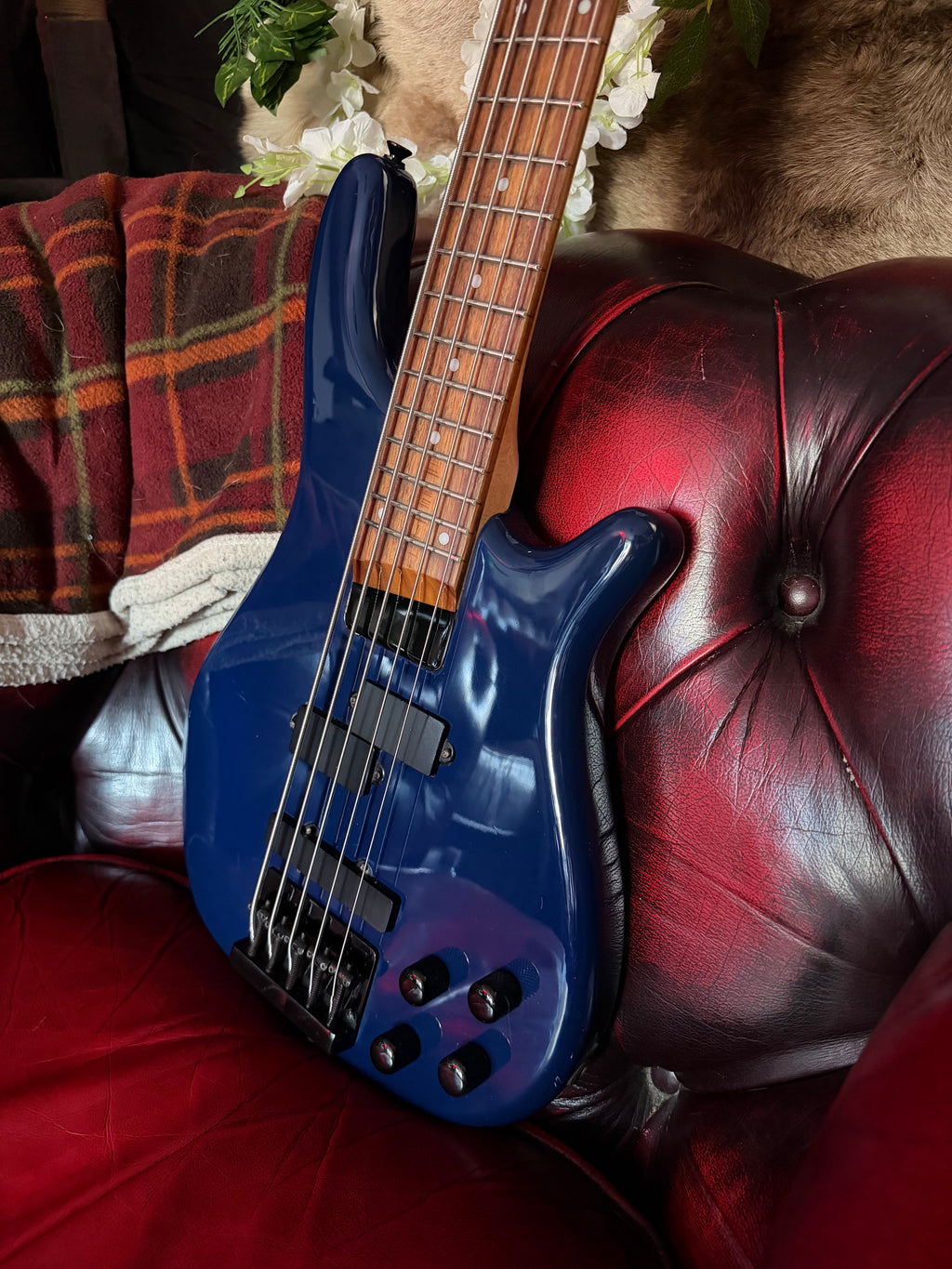 Riptide! - Vintage V950 Active 5-String Bass