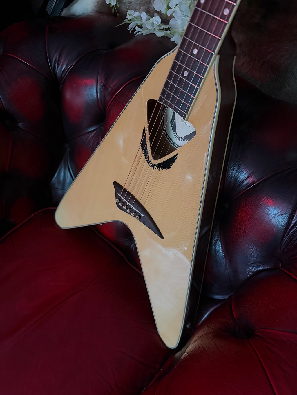 Valkyrie! - Dean VCO-NT V-Coustic - Natural - Circa 2006