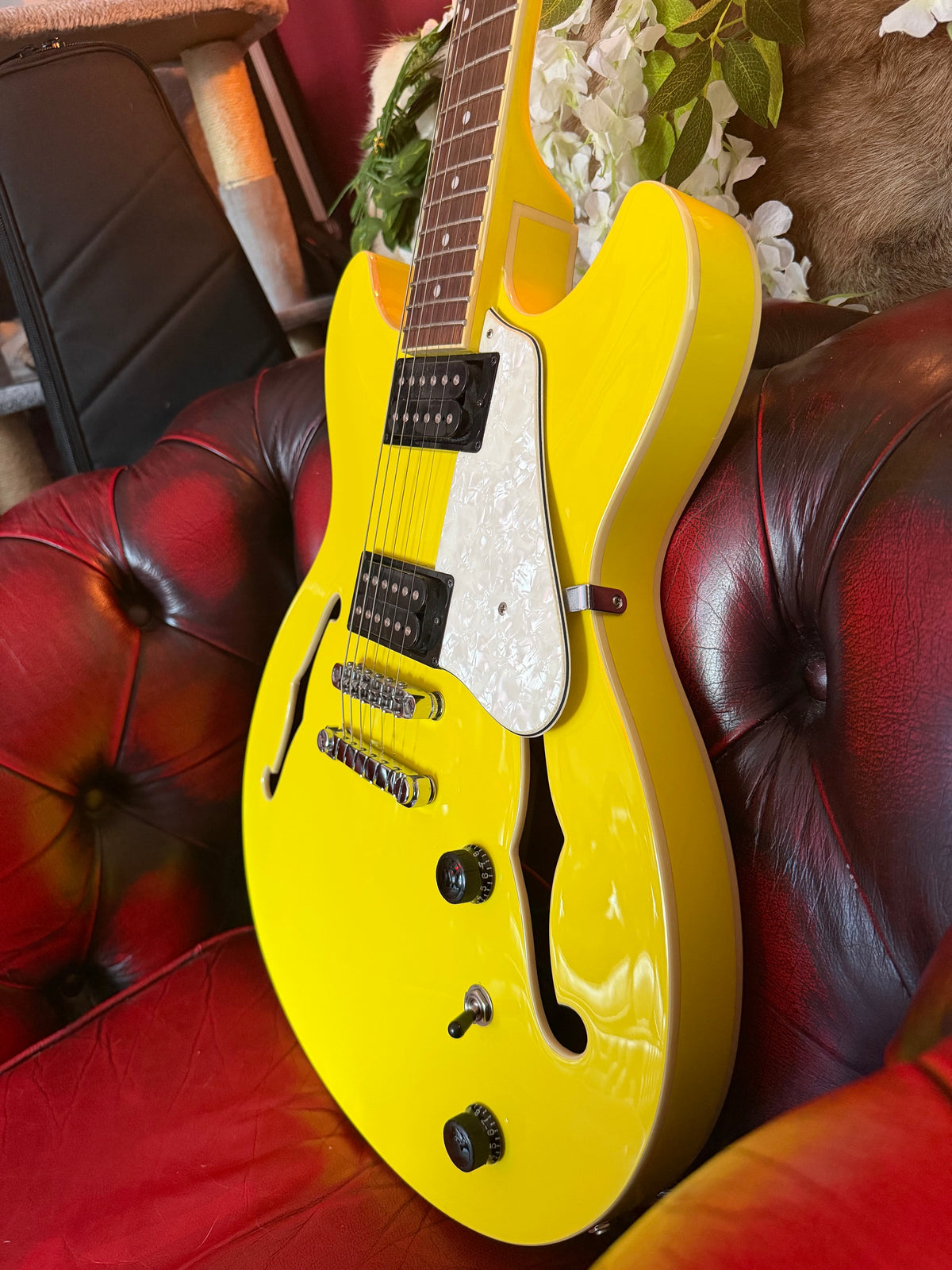 Joy! - Ibanez Artcore Vibrante AS63-LY