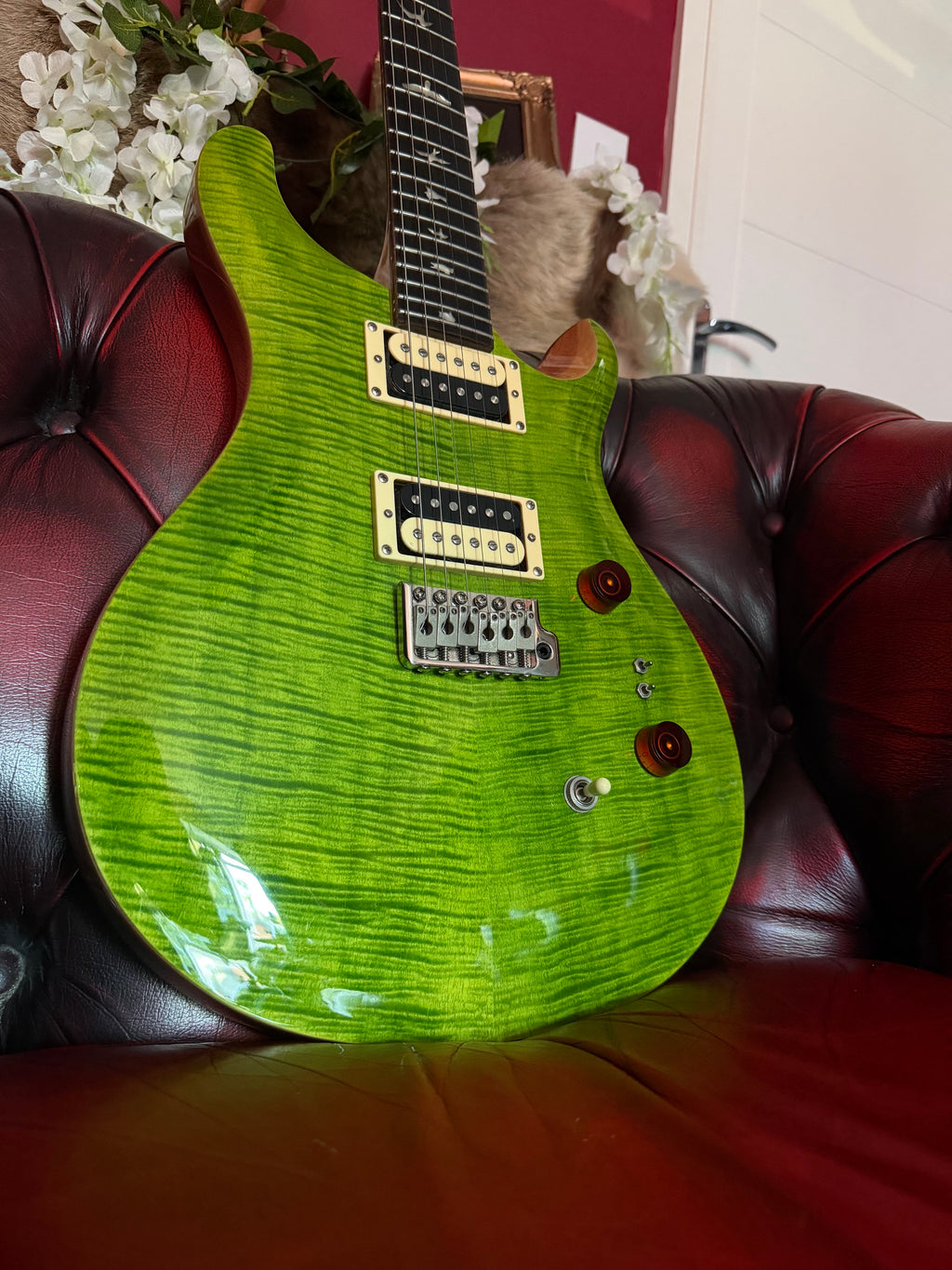 Polly! - PRS SE Custom 24-08 in Eriza Verde
