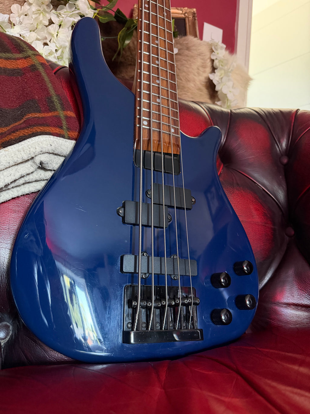 Riptide! - Vintage V950 Active 5-String Bass
