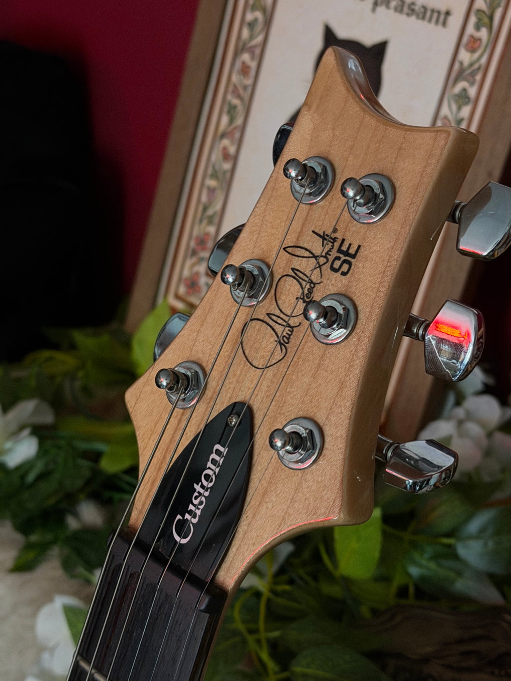 Polly! - PRS SE Custom 24-08 in Eriza Verde