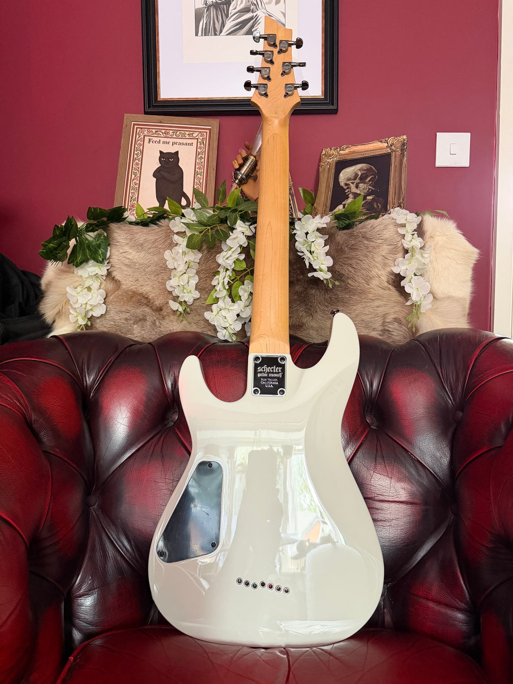 Spectre! - Schecter Omen-7