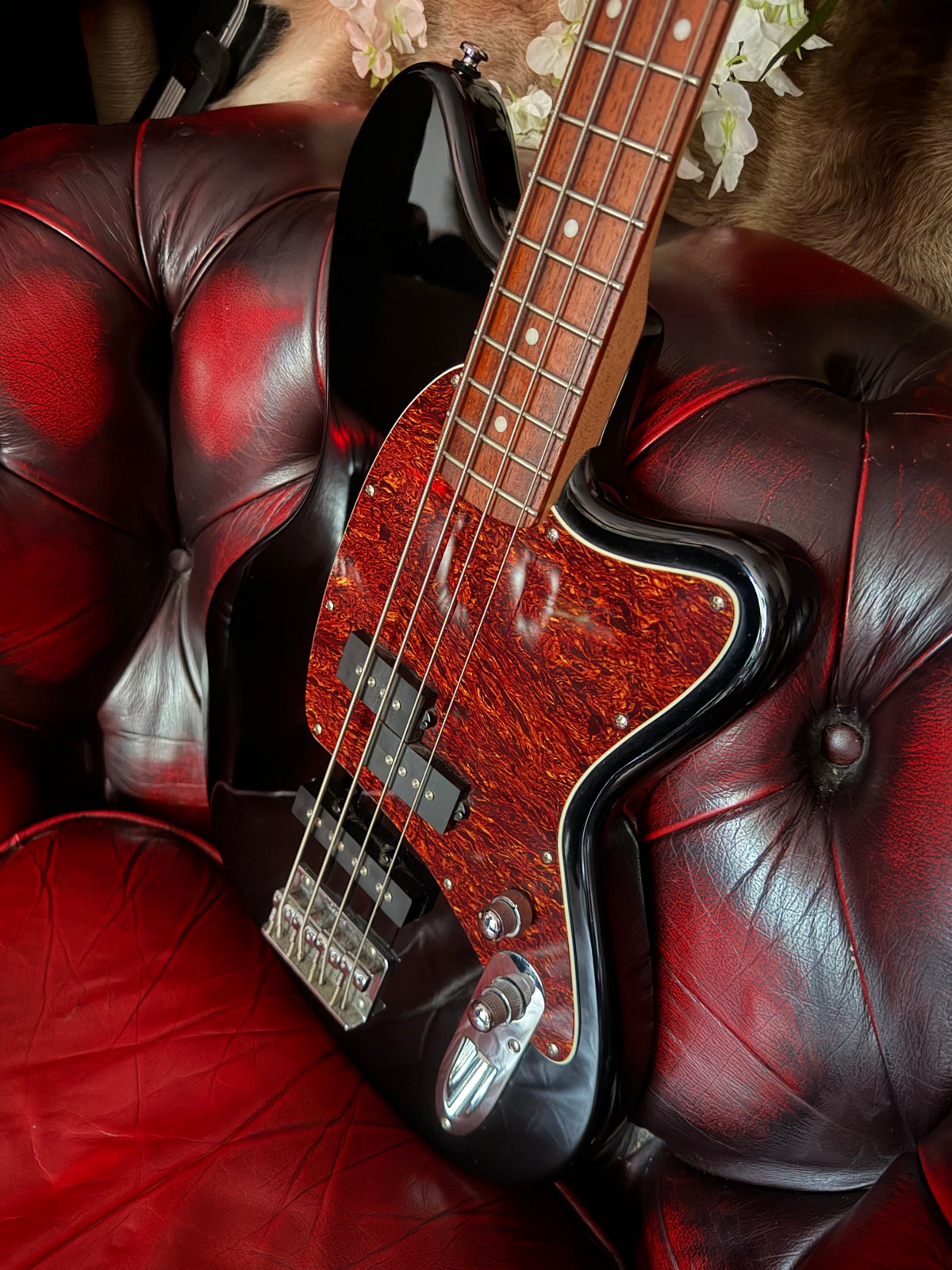 Bruno! - Ibanez TMB100-BK Talman Bass | Black | 2020