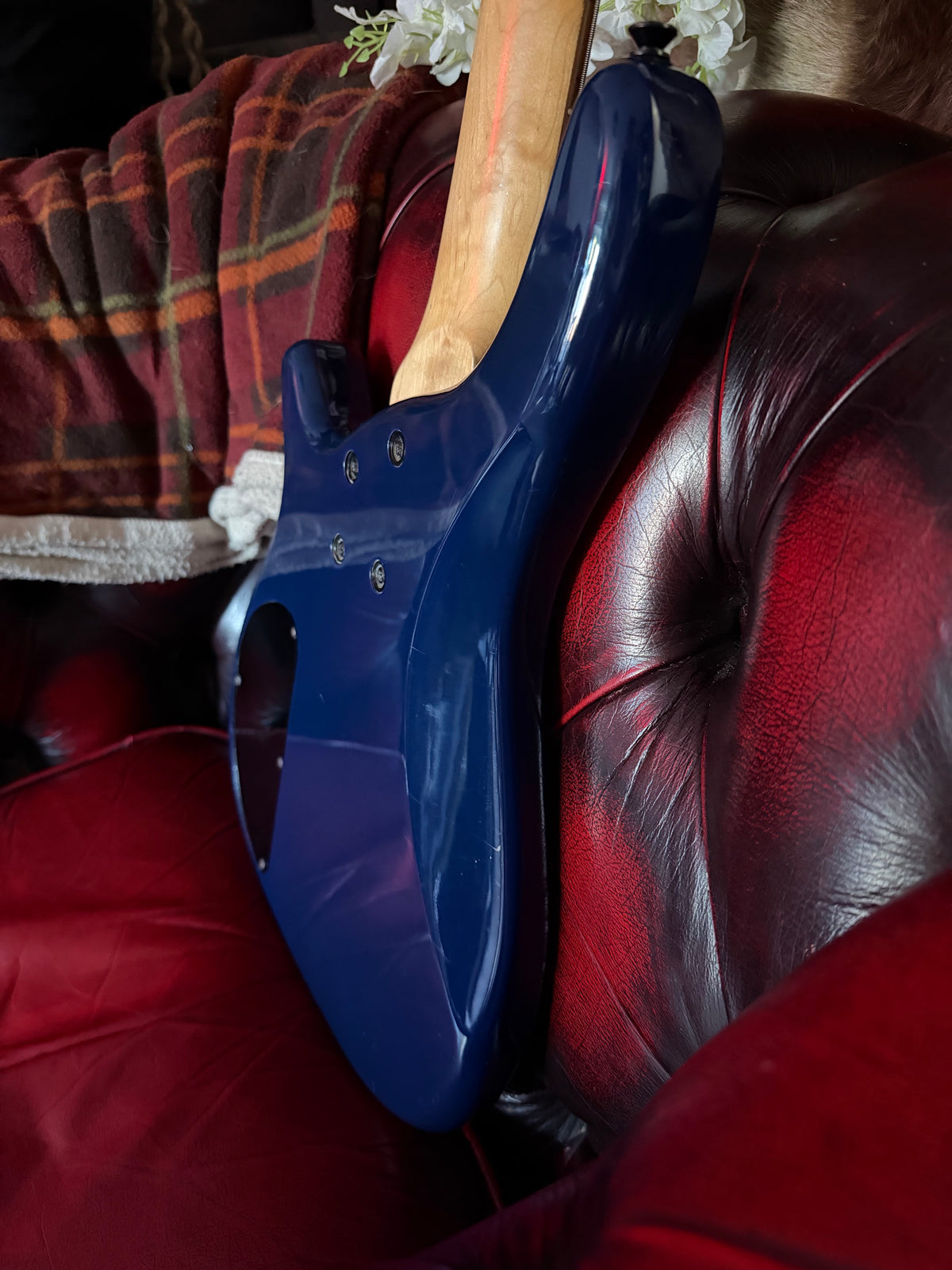 Riptide! - Vintage V950 Active 5-String Bass
